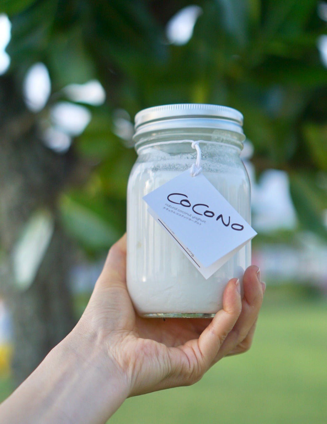 About The Key Points To Consider When Preparing The Intestinal Tract