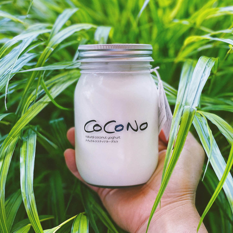 【Subscription Purchase】Plain Coconut Yoghurt (2 x 400g)